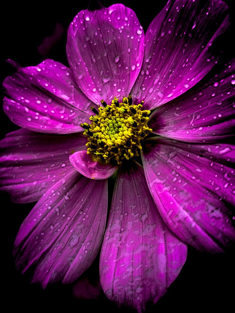 Photograph by Владимир Сушкин