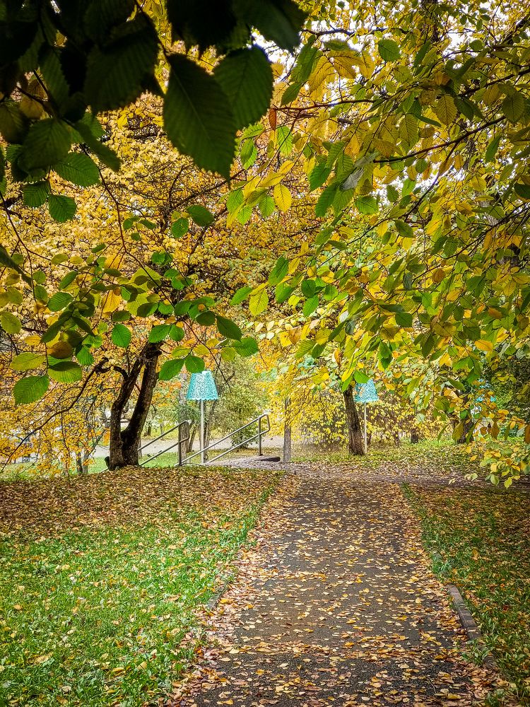 Photograph by Владимир Сушкин