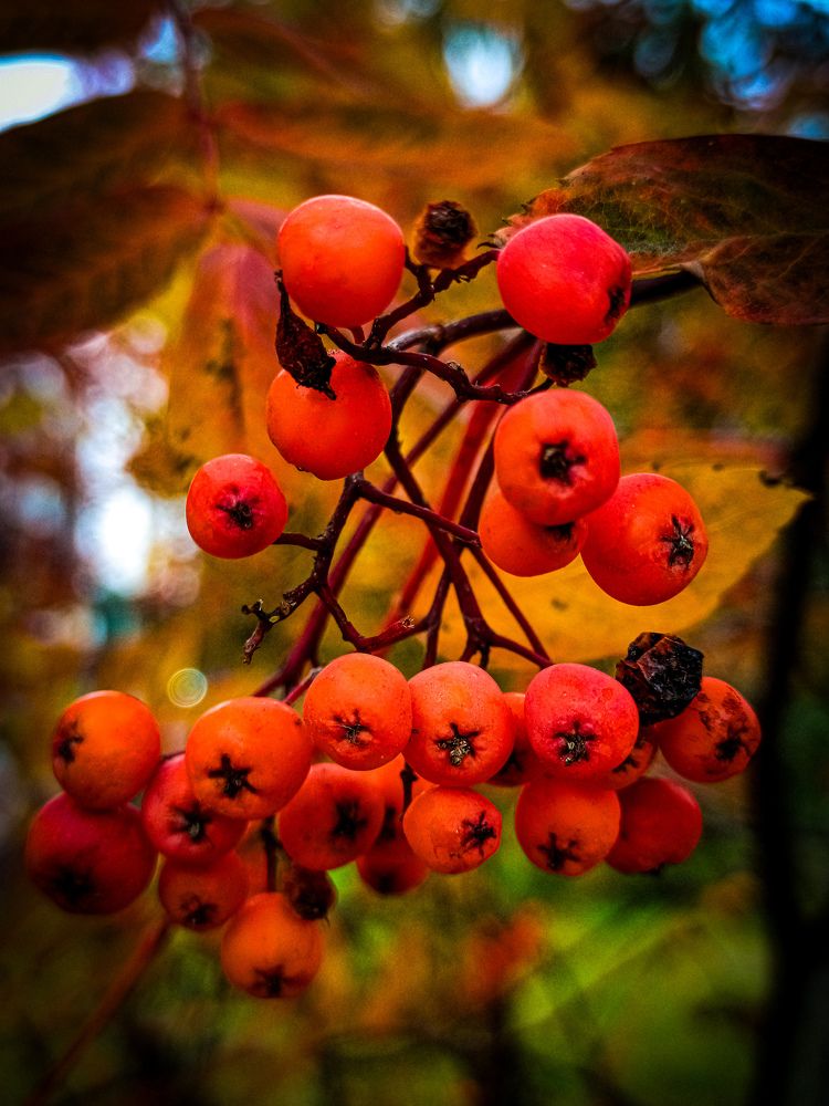 Photograph by Владимир Сушкин