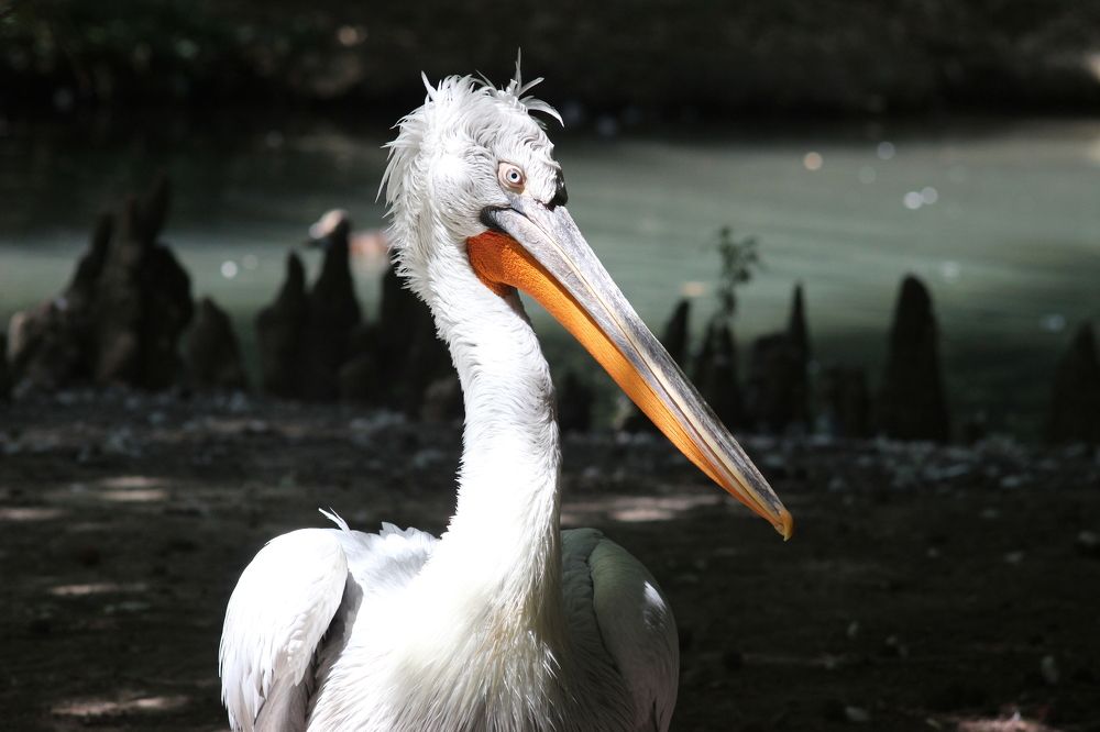 Photograph by Anastasia Kodatenko