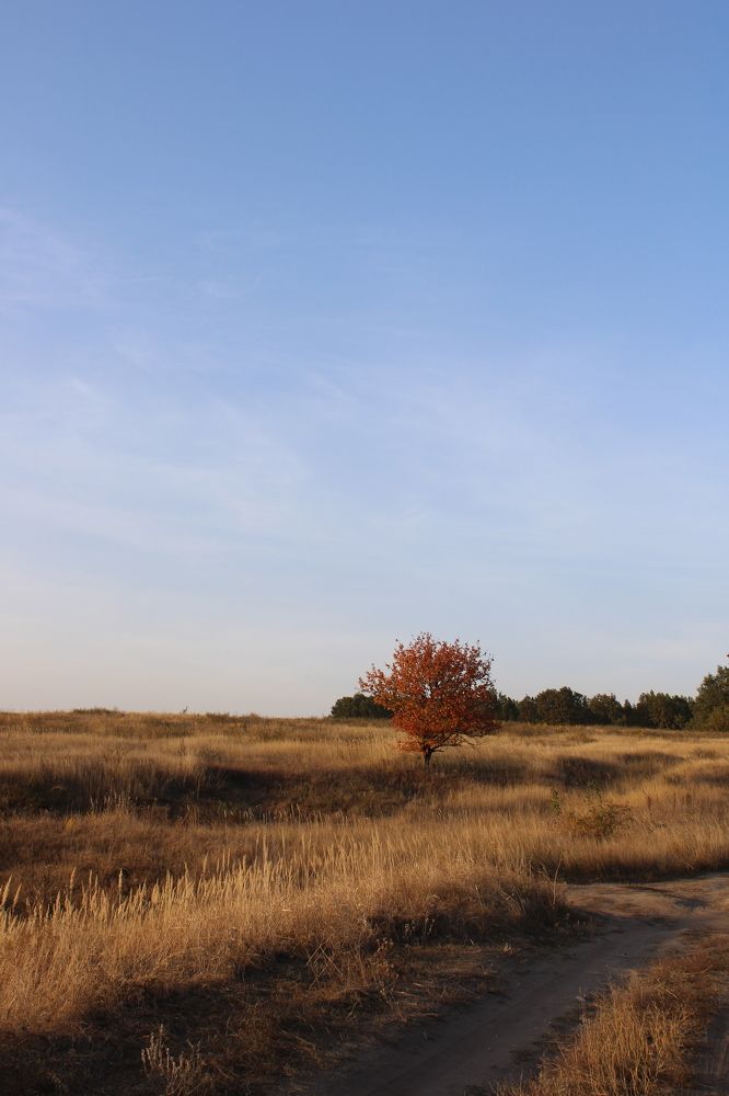 Photograph by Елена Коробченко