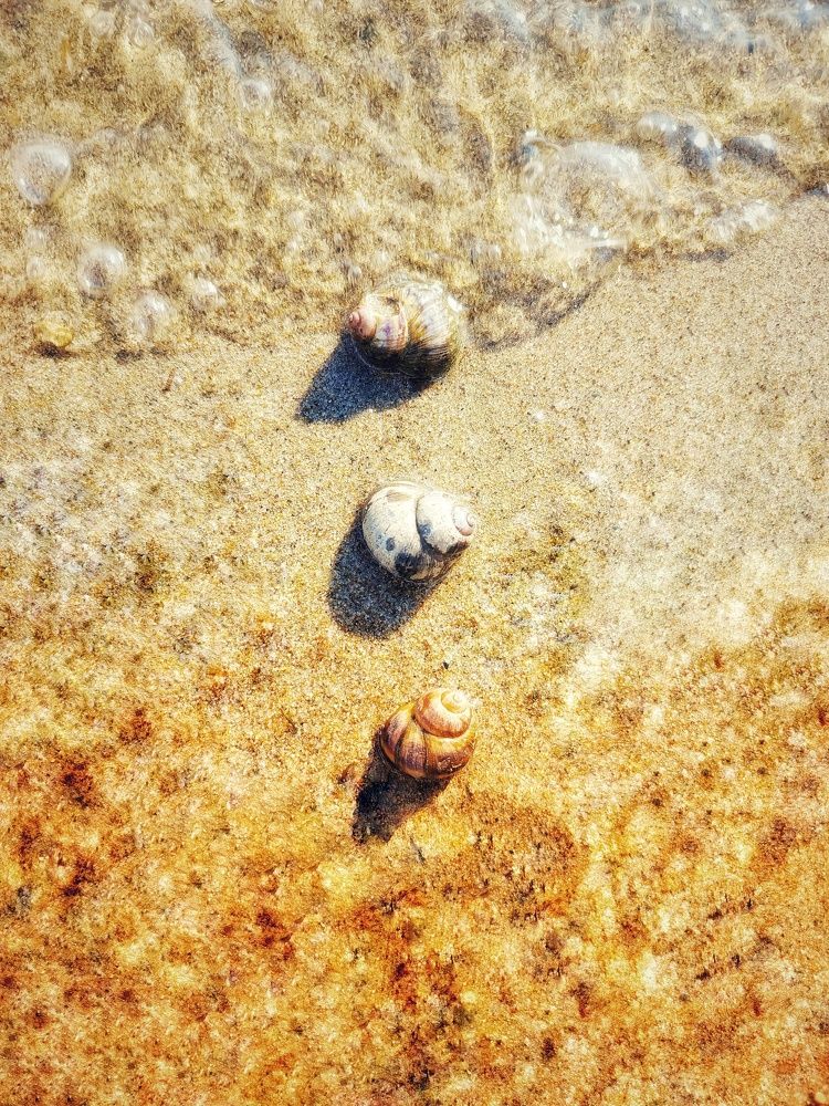 Photograph by Мария Тимошенко