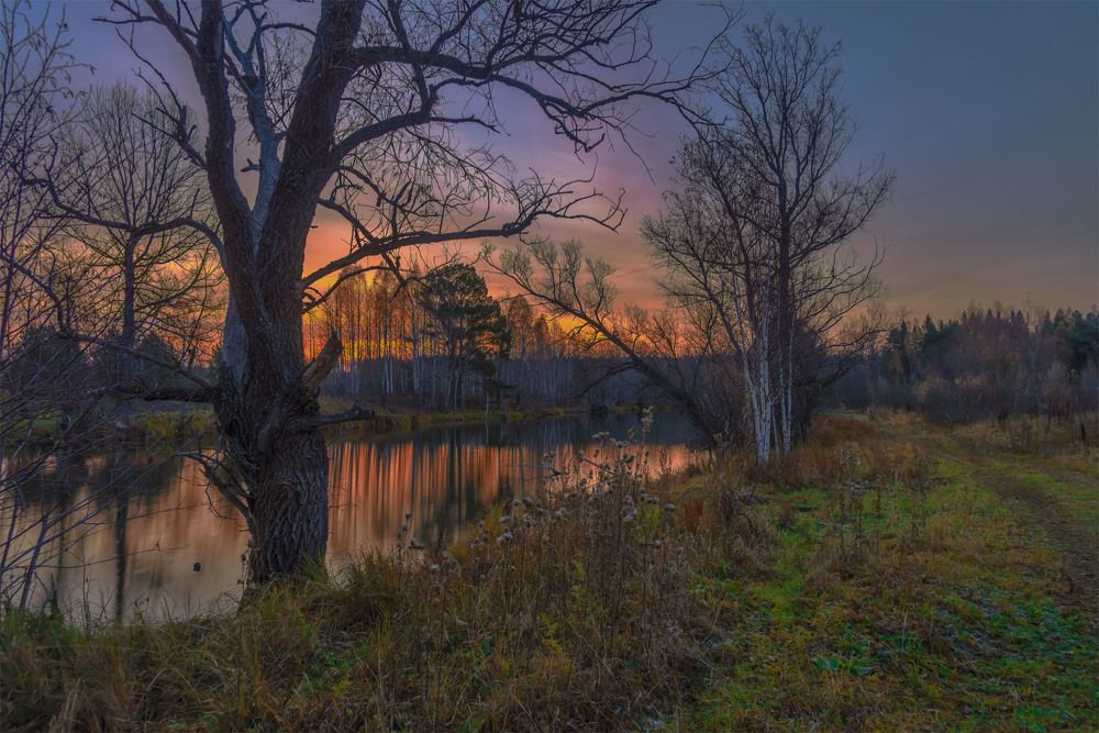 Photograph by Пушкин Сергей