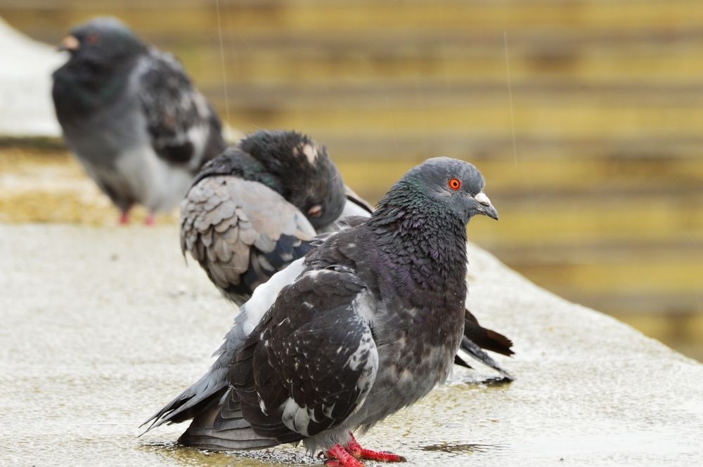 Photograph by Nadezhda