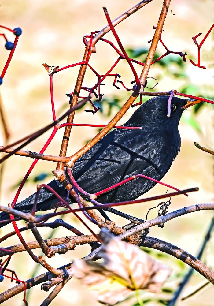 Photograph by Михаил Малец