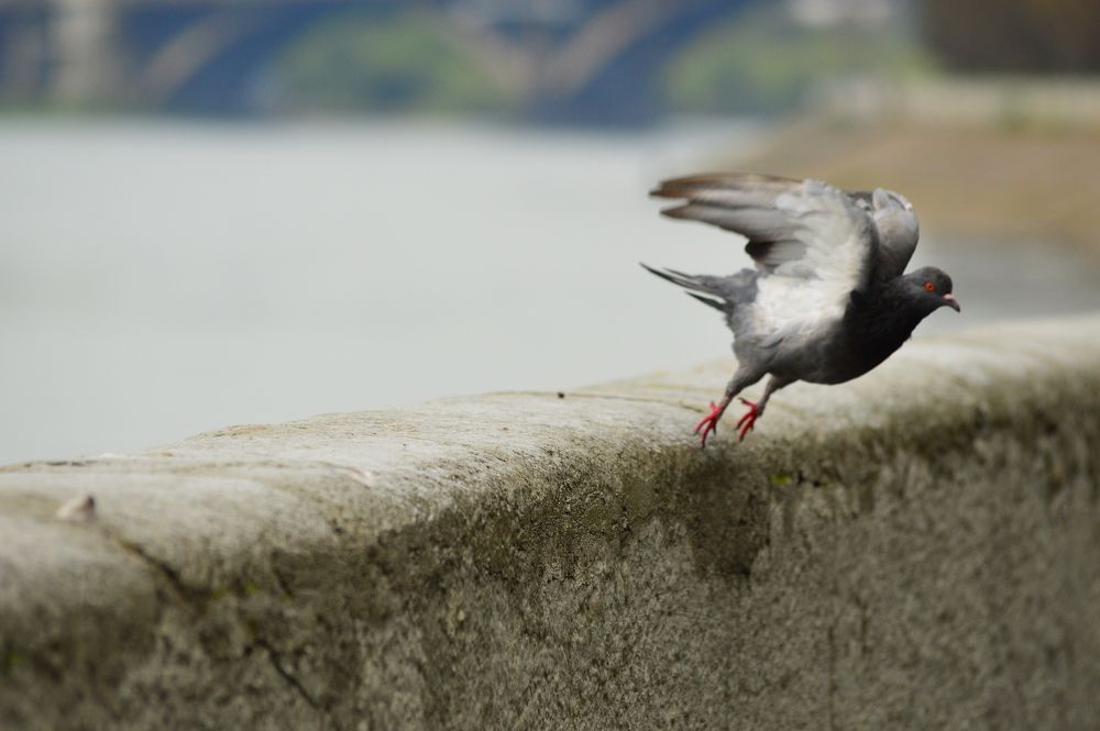 Photograph by Nadezhda