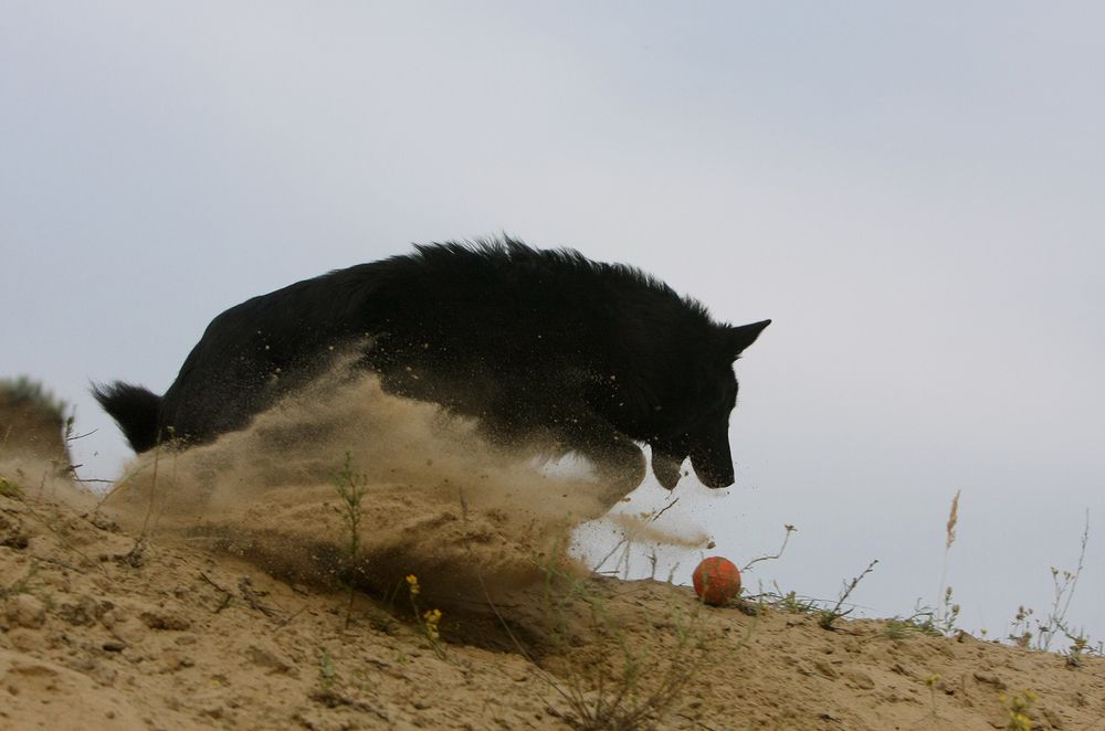 Фотография автора Надежда Лисицына
