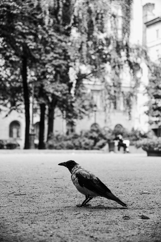 Photograph by Сергей Зимин