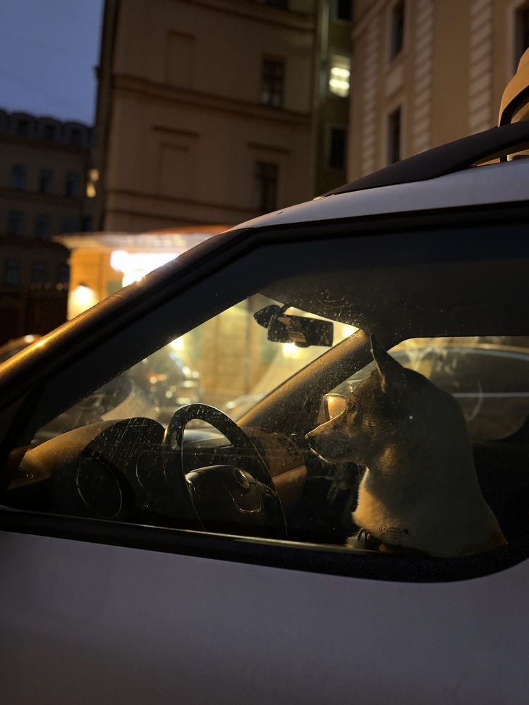 Фотография автора Alexander Solovyev