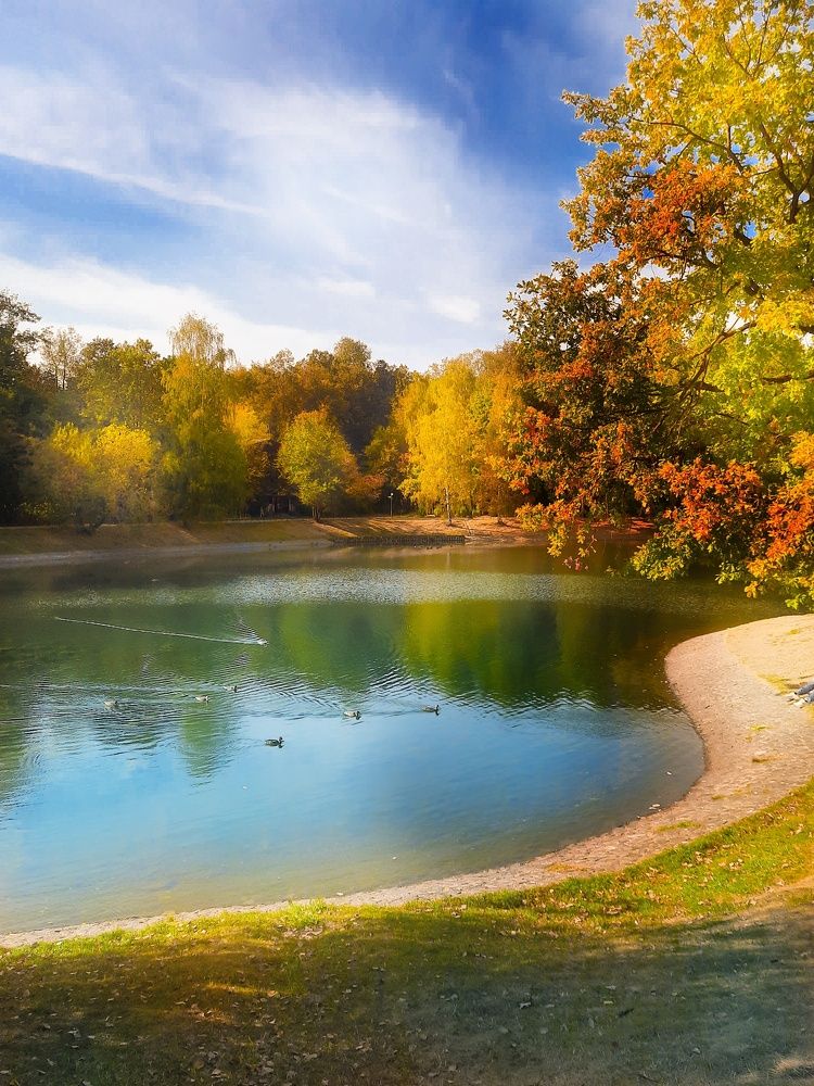 Фотография автора Irina Vornacheva