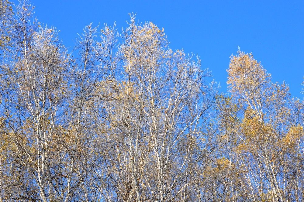 Photograph by Nadezhda