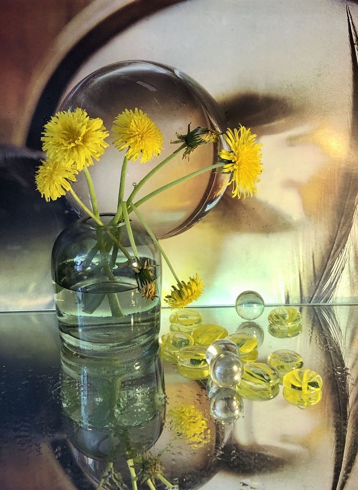 Одуванчики.