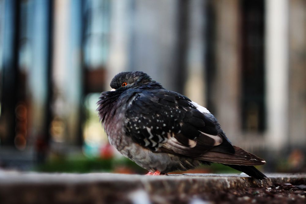 Photograph by Константин