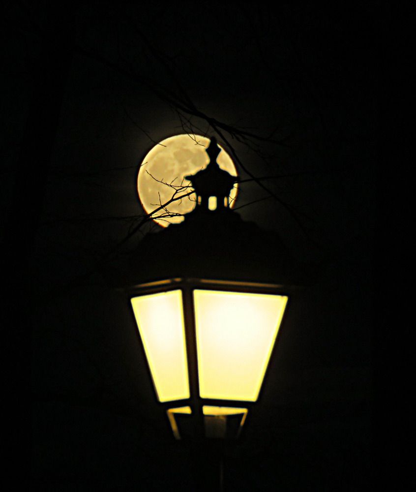 Photograph by Галина Пименова