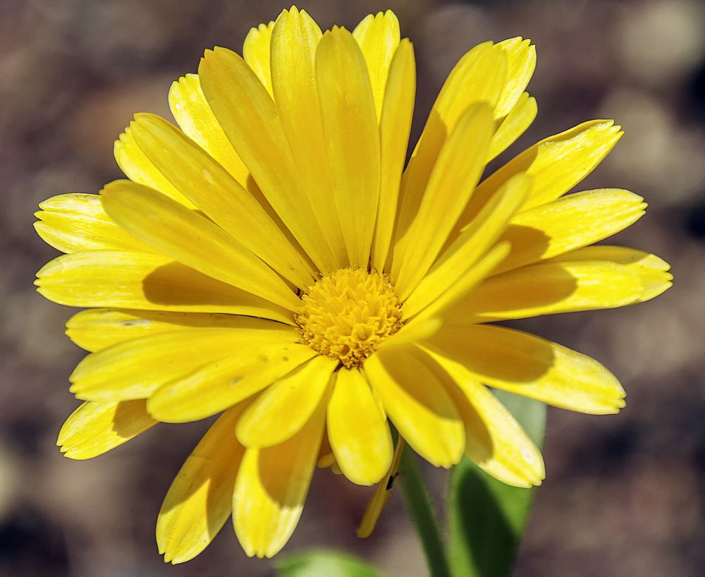 Фотография автора Александр