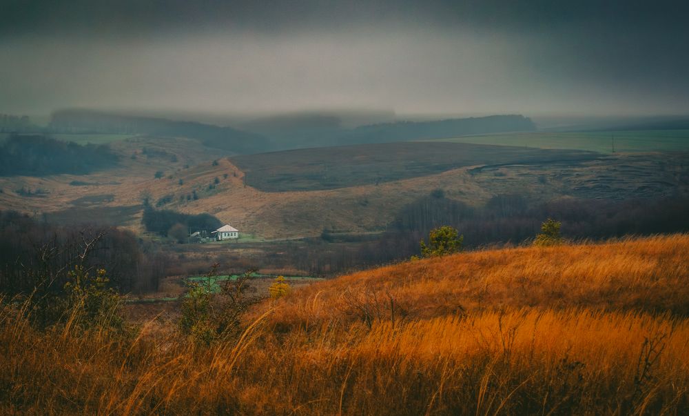 Photograph by Ольга Глущенко