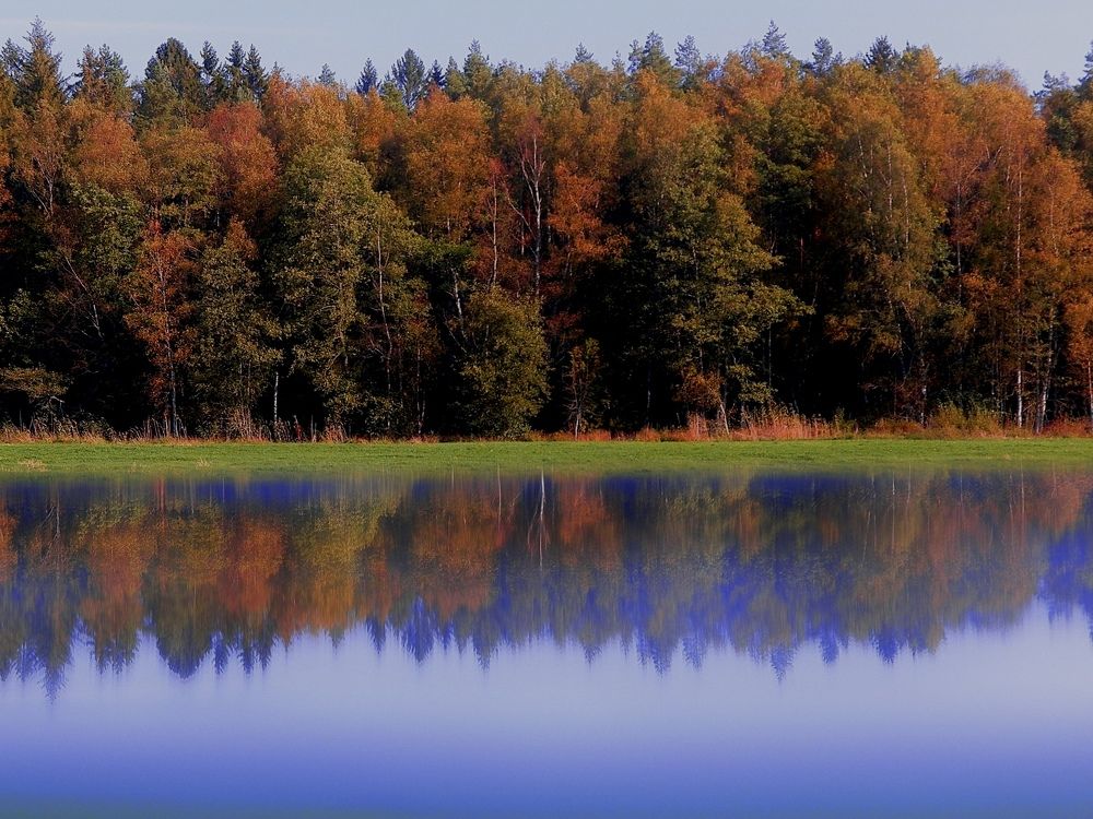 Photograph by Юлия