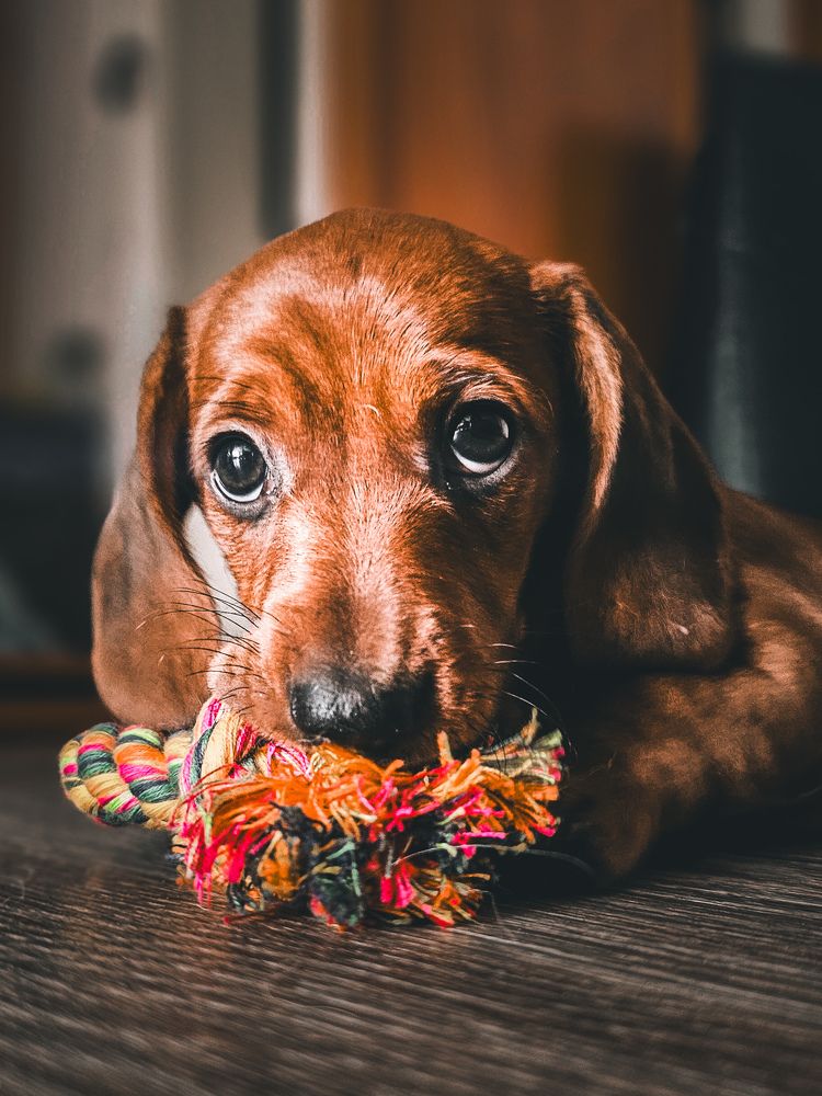 Фотография автора Ольга Шишук