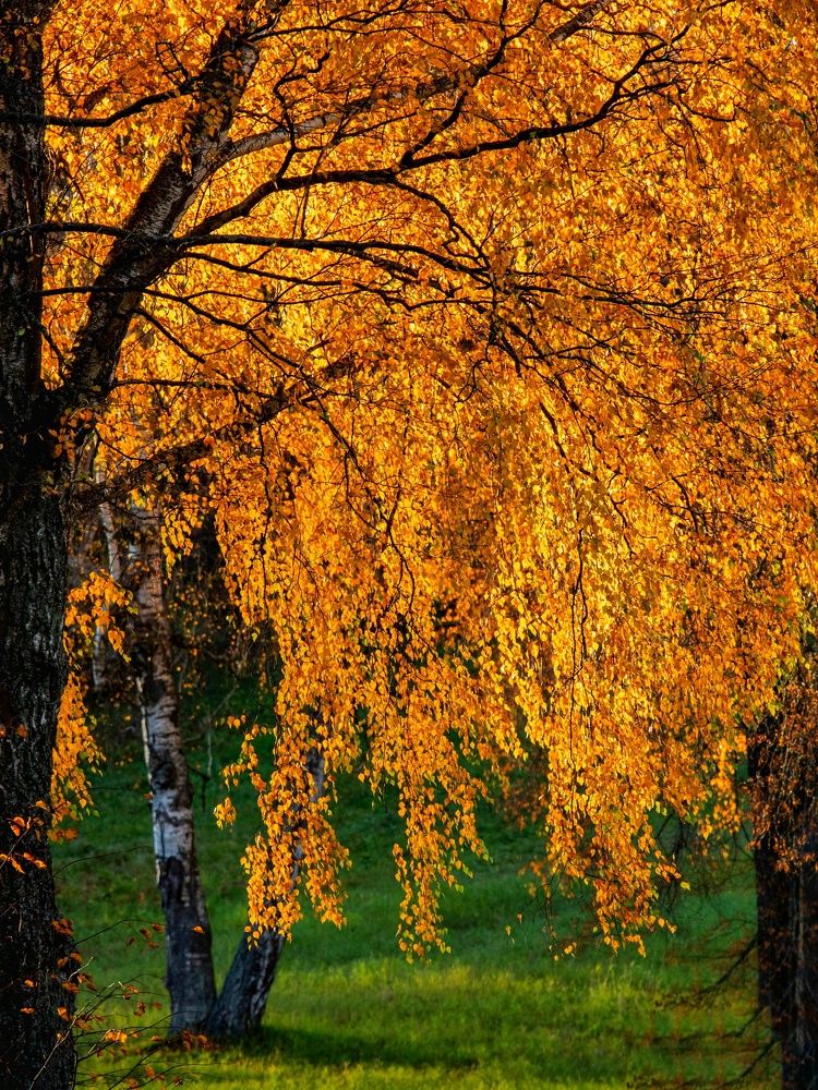 Photograph by Татьяна