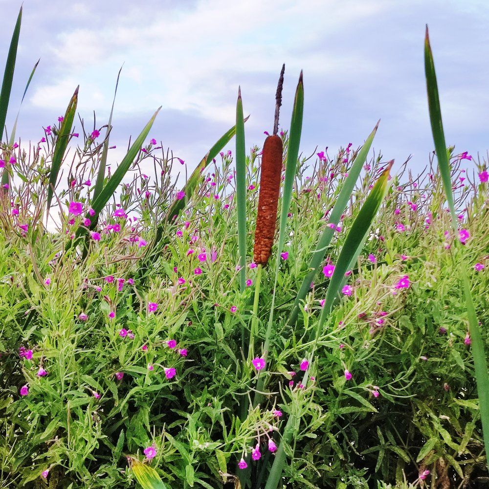 Photograph by Елена Казарина