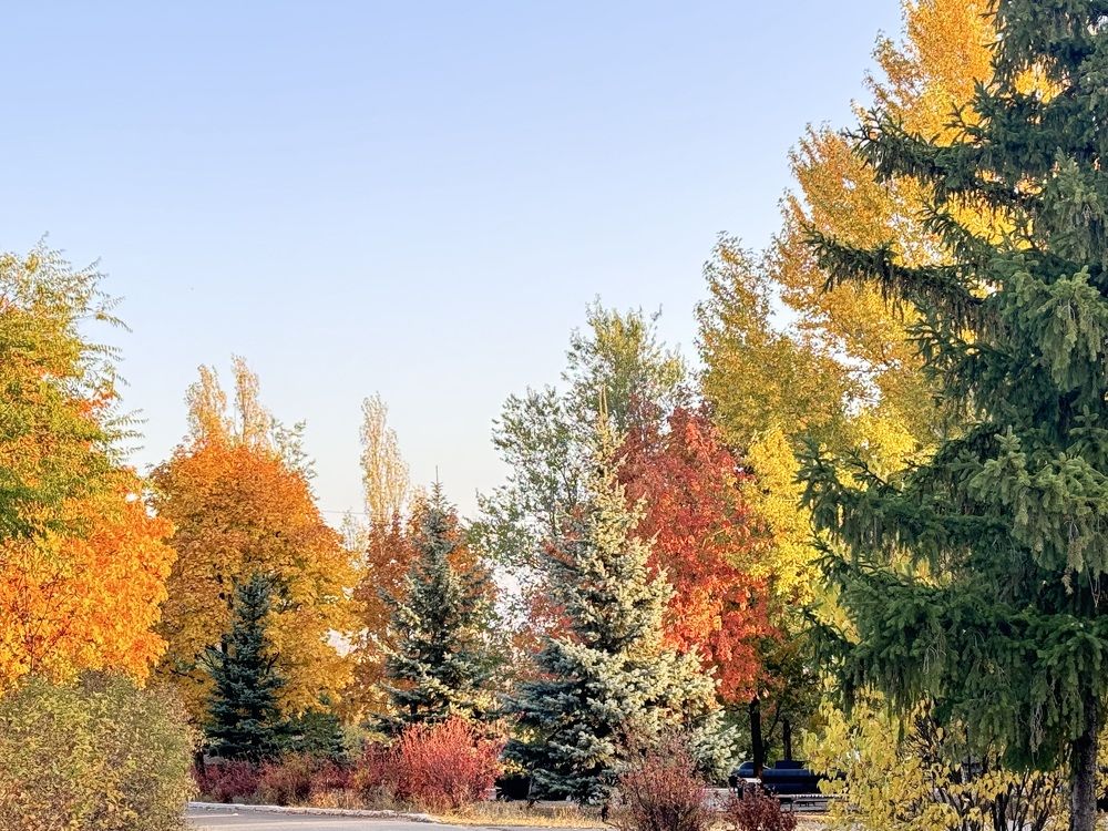 Photograph by Ольга Шабалина