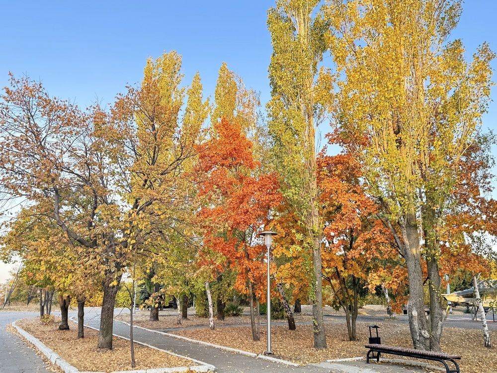 Photograph by Ольга Шабалина