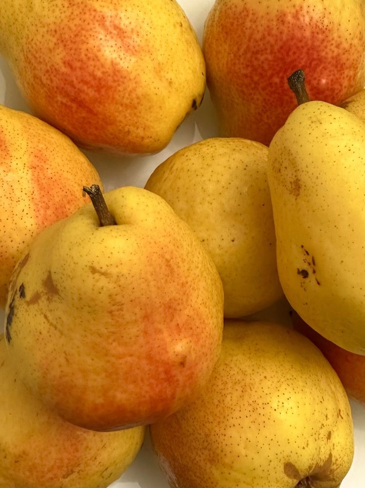 Photograph by Елена Цацулина