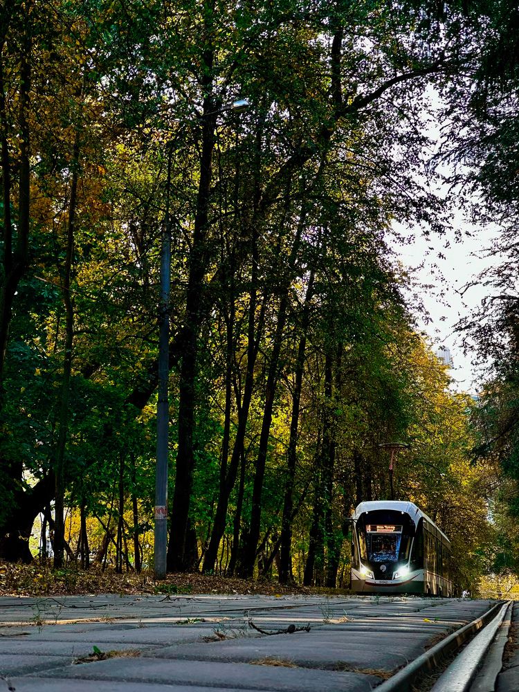 Photograph by Елена Брижеватая