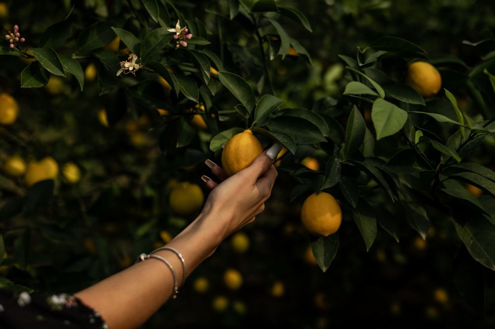 Фотография автора Fallen Angel