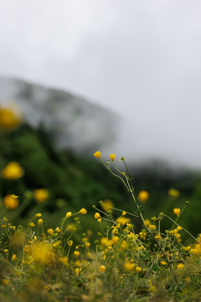 Фотография автора Fallen Angel