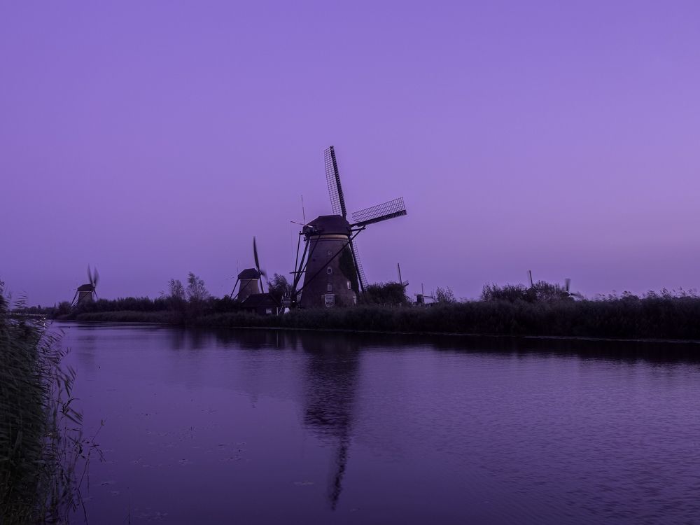 Photograph by Henk Goossens