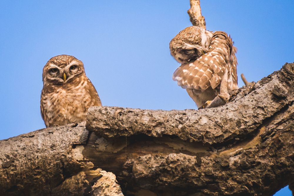 Photograph by Subhajit Basak