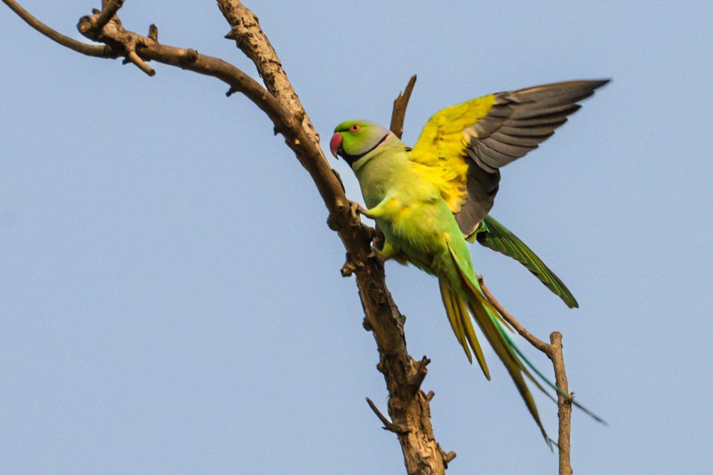 Photograph by Subhajit Basak