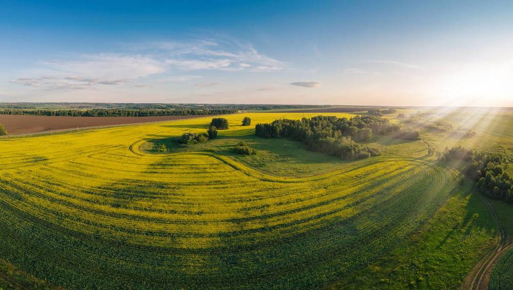 Photograph by Руслан Олинчук