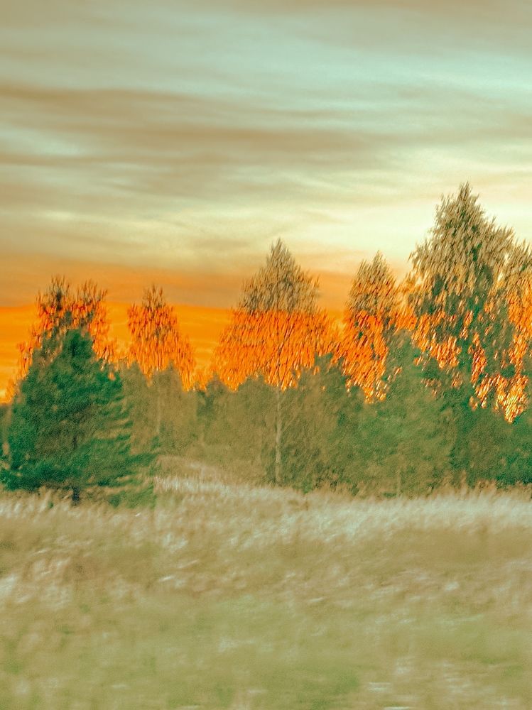 Photograph by Ольга