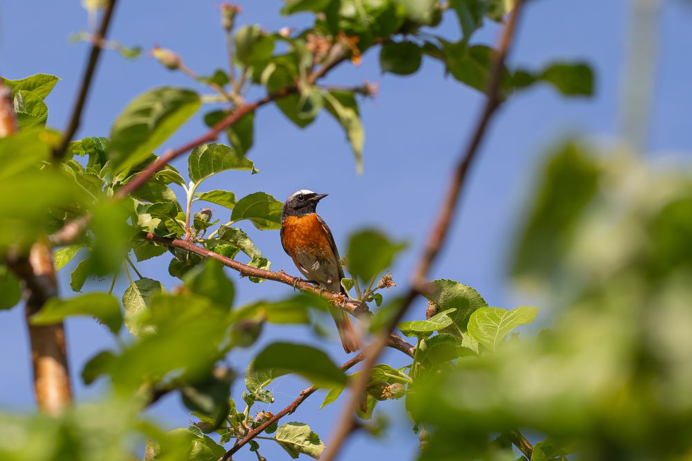 Photograph by Бурбона Сергей
