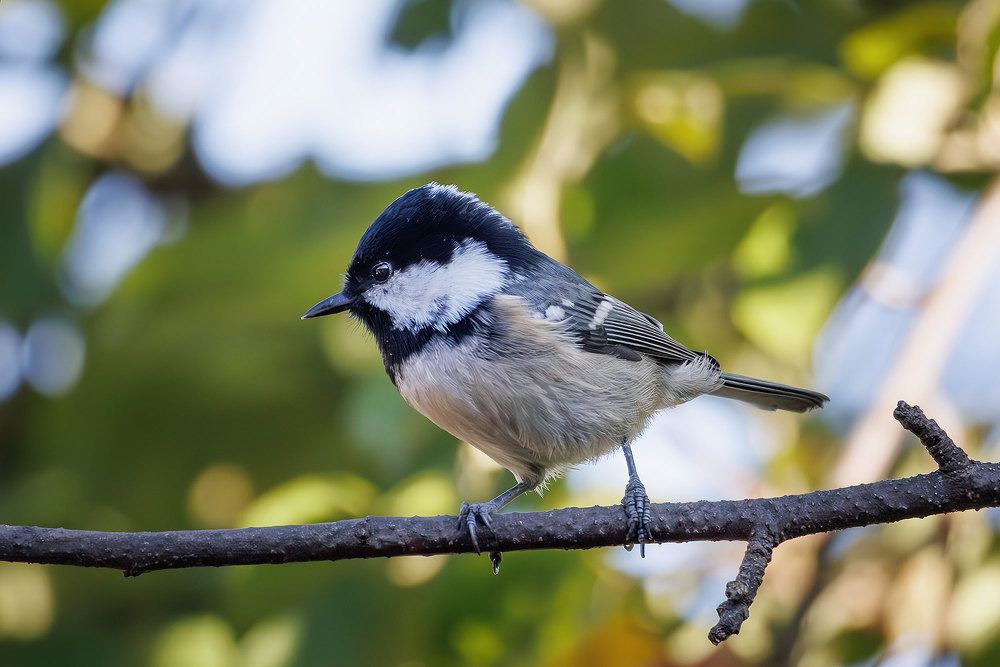 Photograph by Морозов Сергей