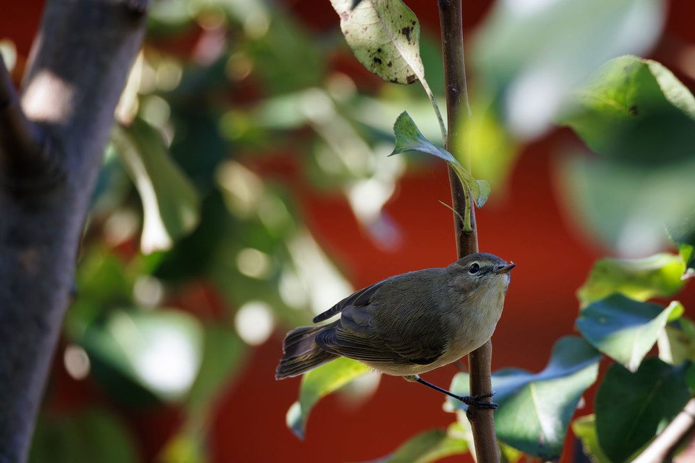 Photograph by Морозов Сергей