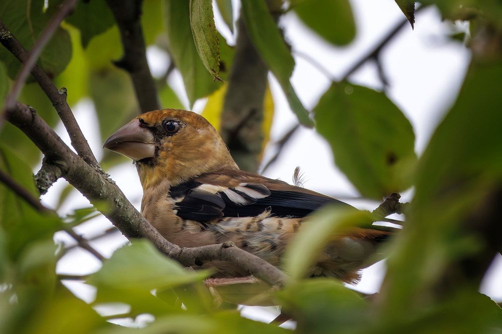 Photograph by Морозов Сергей