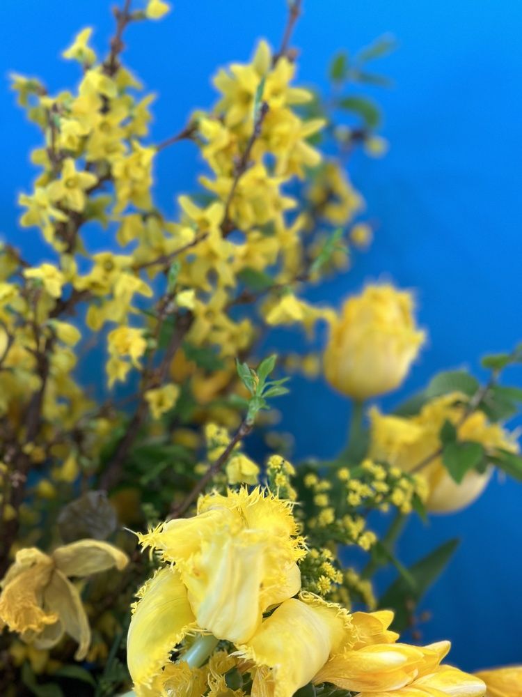 Photograph by Елена Брижеватая