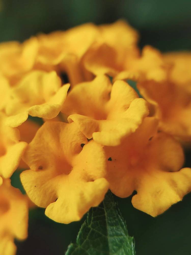 Photograph by Meilany Wijaya