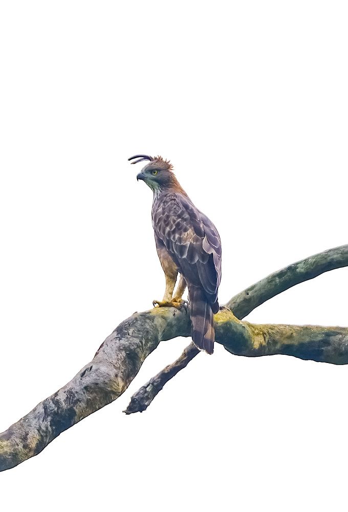 Photograph by SARAVANA MANICKAM