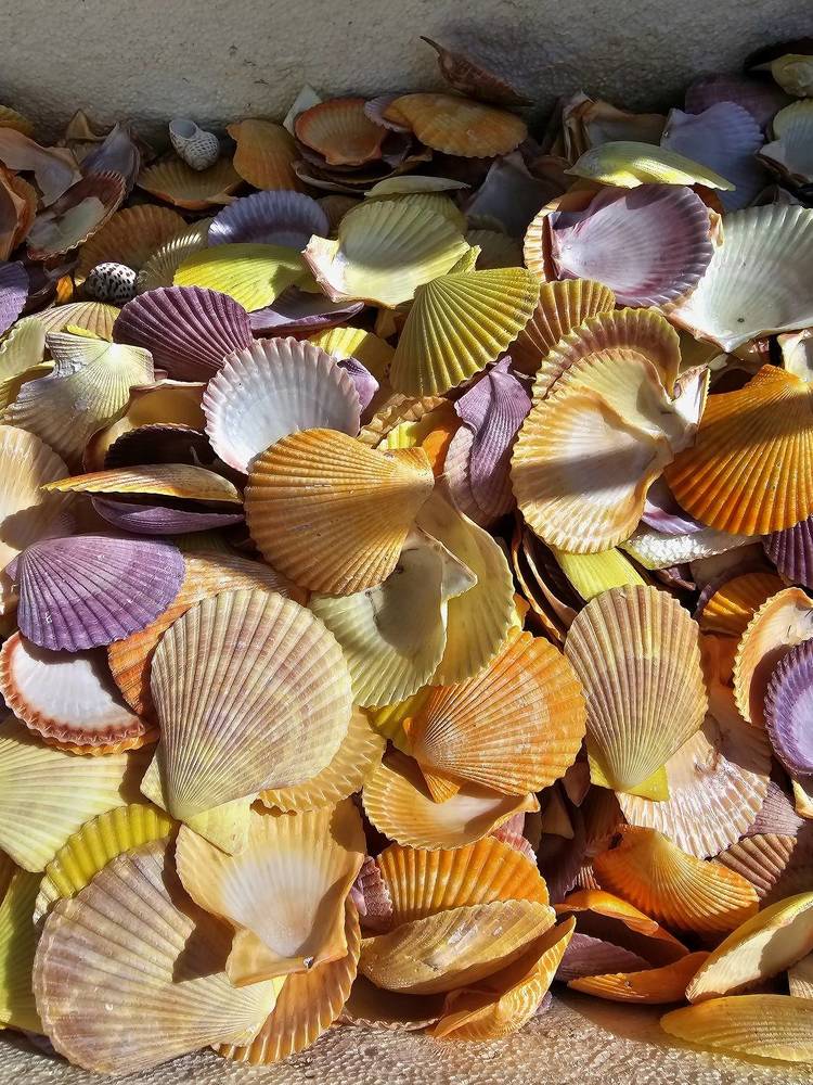 Фотография автора Oksana Podgorodetska