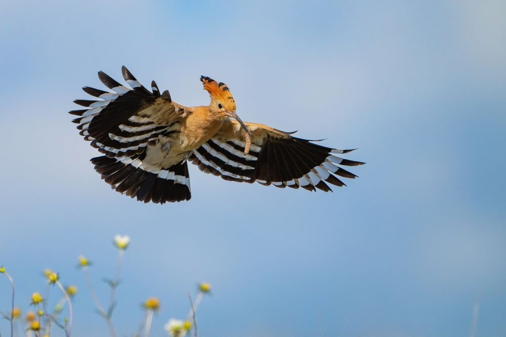 Photograph by Татьяна Жеребцова
