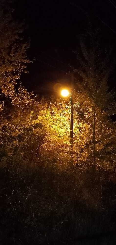 Фотография автора Гольназ