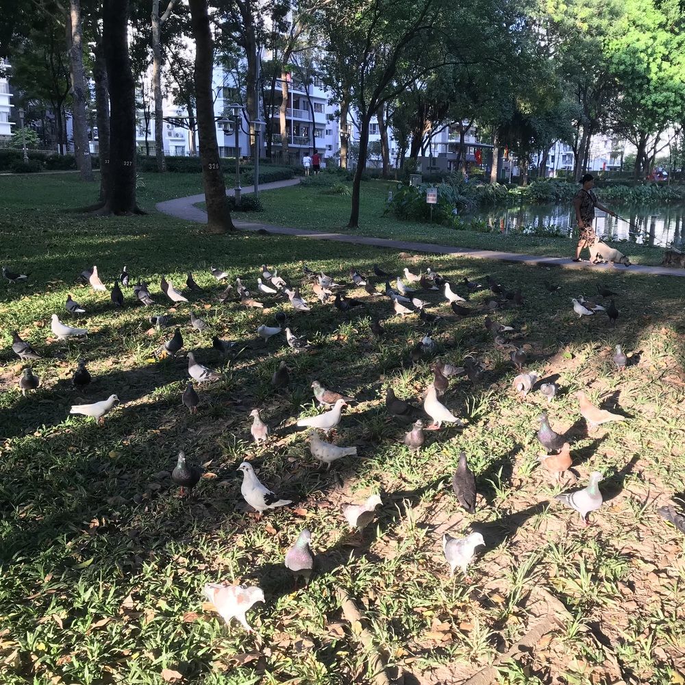 Photograph by HIEU LIEM DO