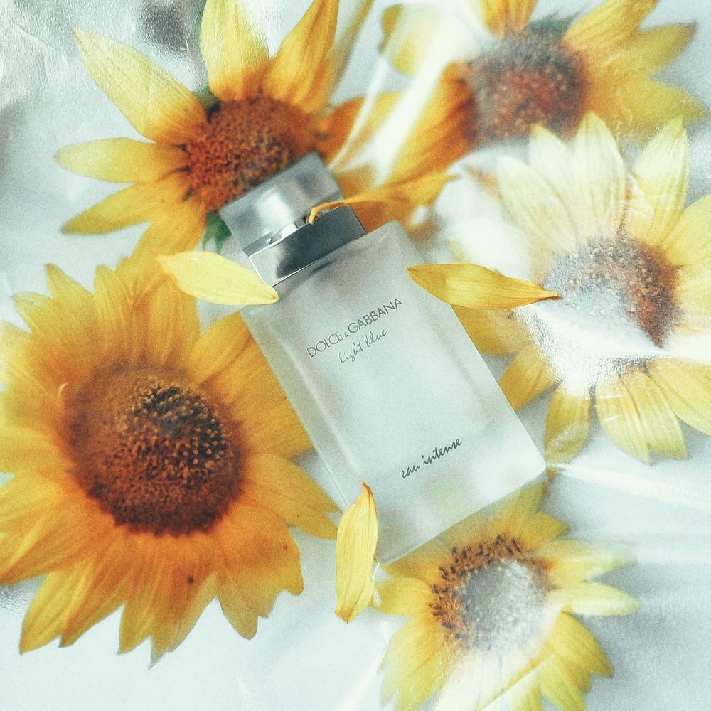 Photograph by Хоменчук Людмила