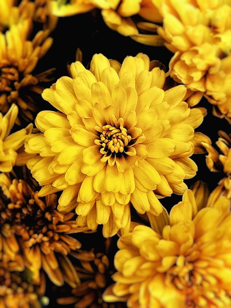 Photograph by Елена Громова