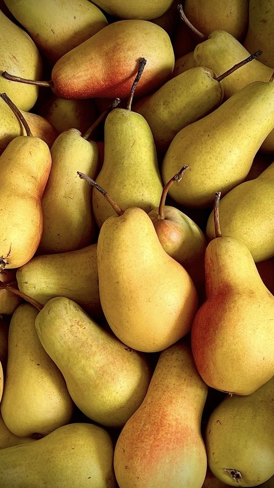 Photograph by Елена Громова