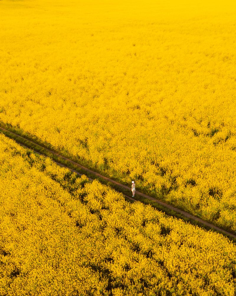 Photograph by Слава Азаров